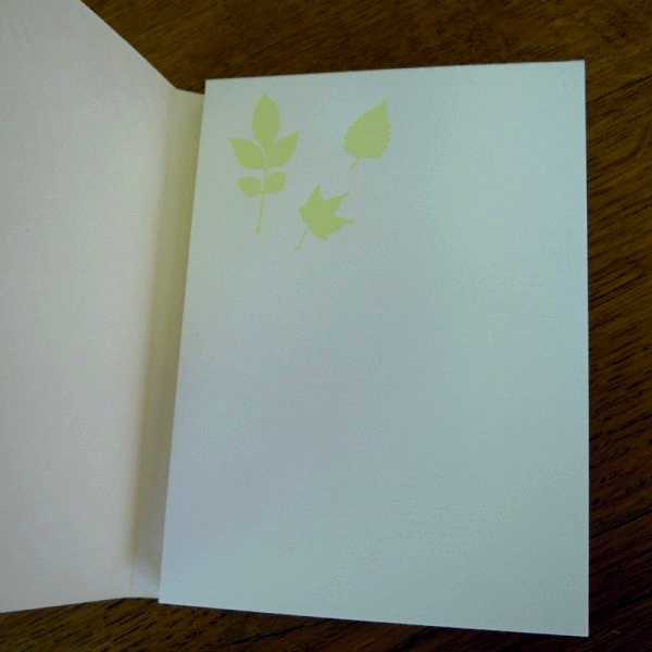 B005_feuilles2