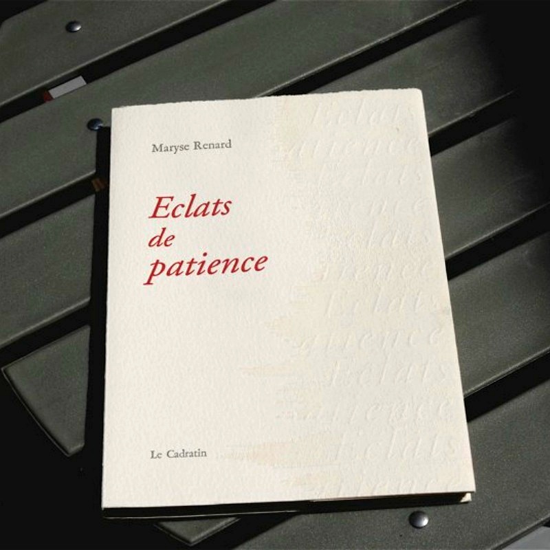 Éclats de patience - Maryse Renard